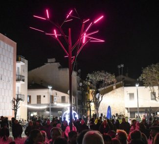 albero-piazza-conchiglia-civitanova-FDM-3-e1731661395890-325x294