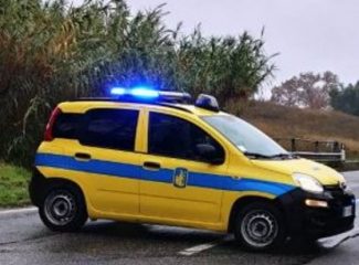 anas