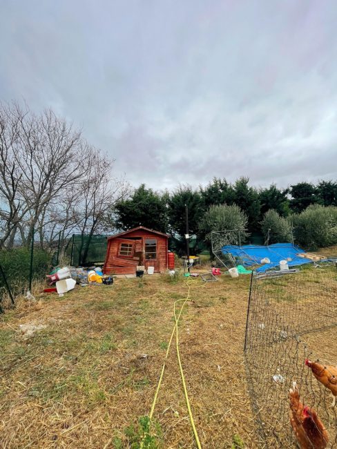 danni-myfarmproject-2-488x650