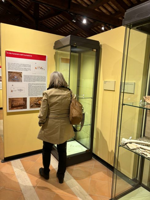 museo-archeologico-san-severino-2-488x650