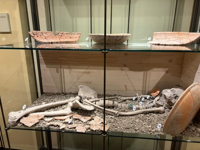 museo-archeologico-san-severino-4-650x488