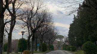 Il-viale-del-parco-di-Villa-Fermani-a-Corridonia