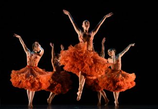 MOMIX_Marigolds-B