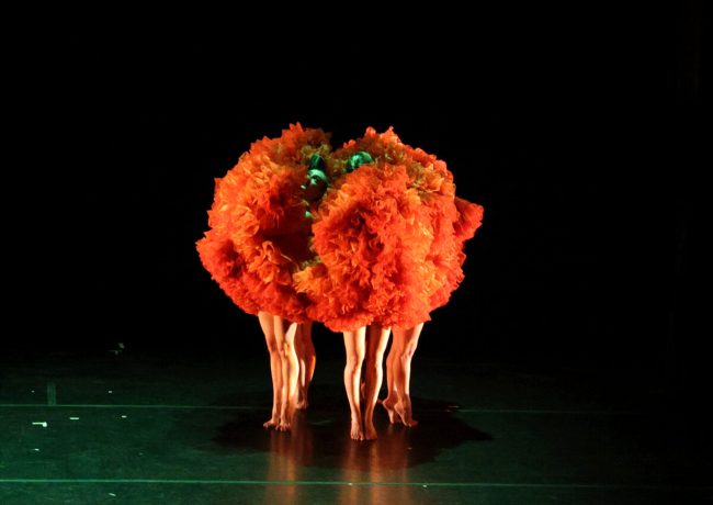 MOMIX_Marigolds-scaled-1-650x460