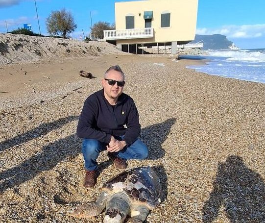 tartaruga-caretta-caretta-spiaggiata-porto-recanati-1-e1702743922926