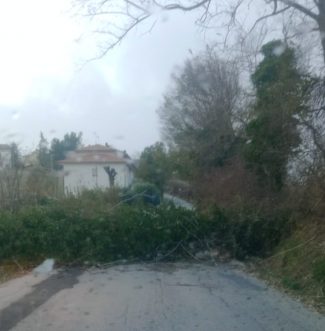 vento-3-e1701538984851-325x331