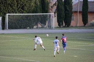 Gol-Papa