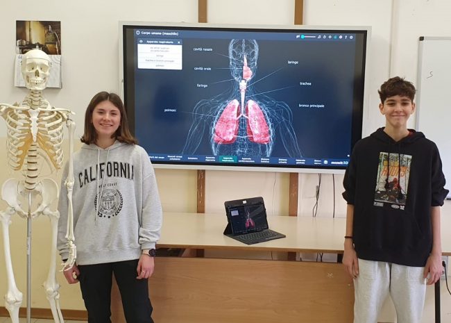 Laboratorio-STEM
