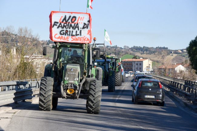 Protesta-Trattori_FF-16-650x434