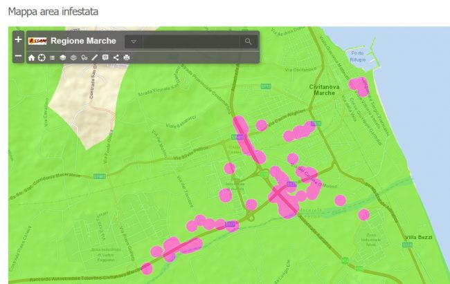 area-infestata-mappa-piante-da-abbattere-650x411-1