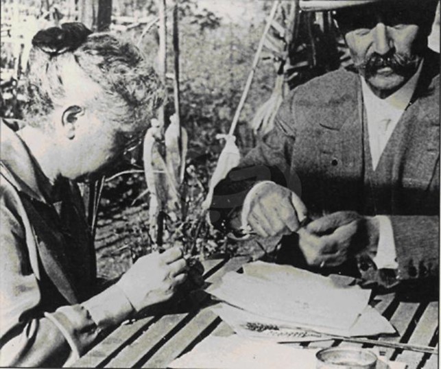 Coniugi-Strampelli