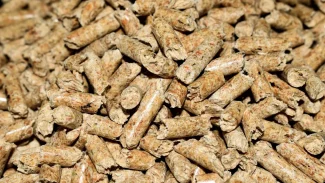 pellet