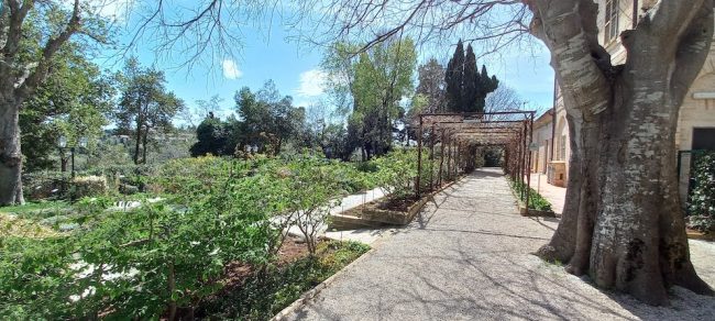 giardino-agraria-garibaldi-2-650x292