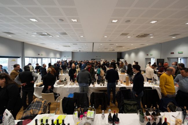 wine_tasting_marche-4-650x433
