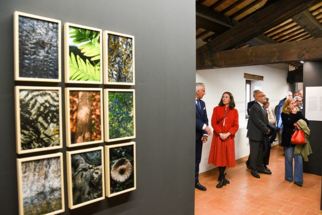 Va-Sentiero_Fondazione-Carima_FF-18-650x434