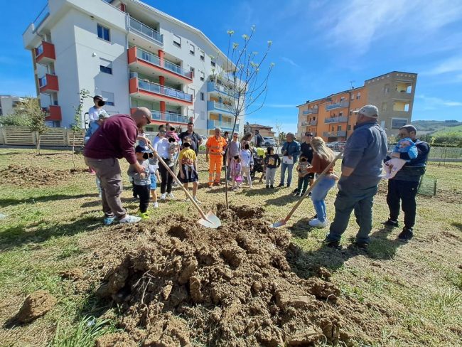 albero-nuovi-nati-2024-3-650x488