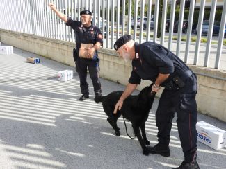 carabinieri-scuola-civitanova-5-325x244