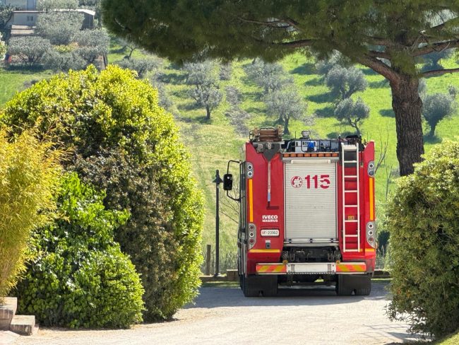 cavallo-salvato-civitanova1-650x488