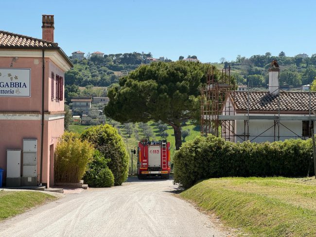 cavallo-salvato-civitanova2-650x488