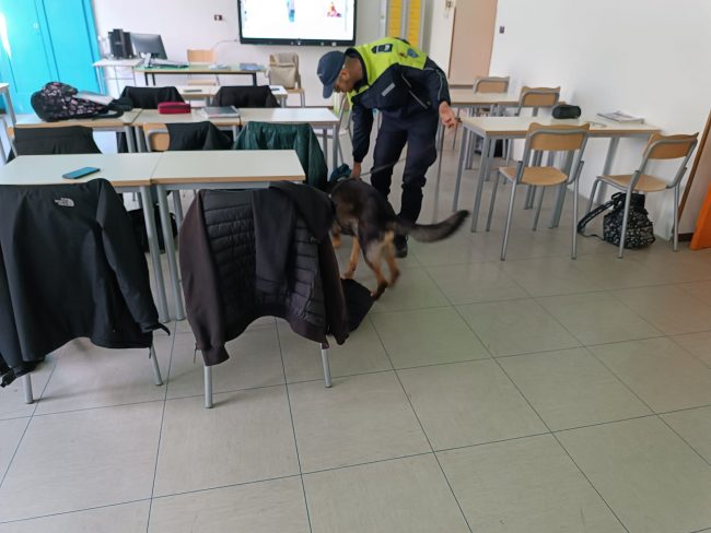 contolli-carabinieri-tolentino-5-650x488