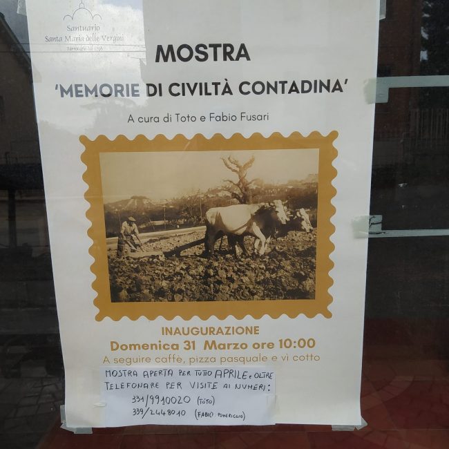 memorie-di-civilta-contadina-1-650x650
