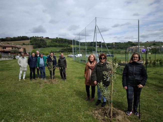 rotary-macerata
