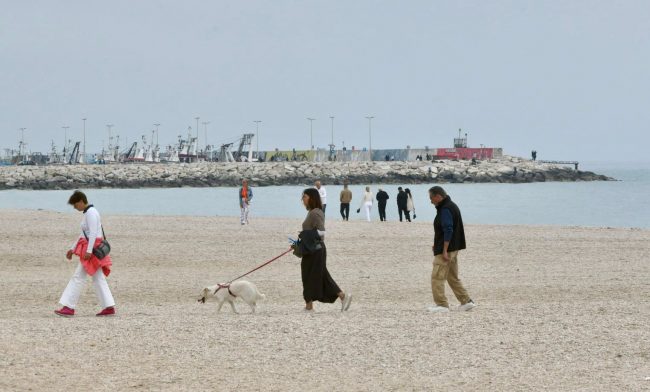 1-maggio-civitanova-2024-4-650x392
