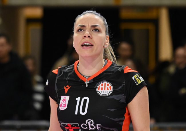 Dzakovic-e1714744428710-650x458