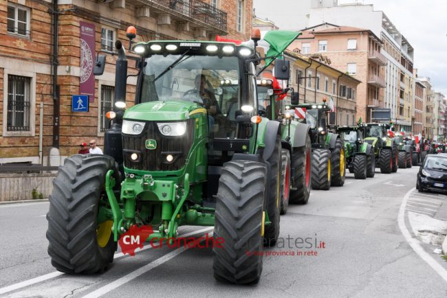 Trattori-Corso-Cavour_FF-4-650x434