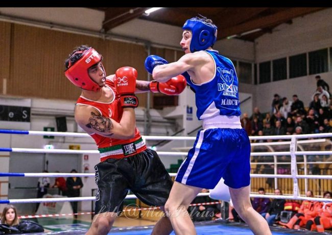 boxing_academy-4-650x461