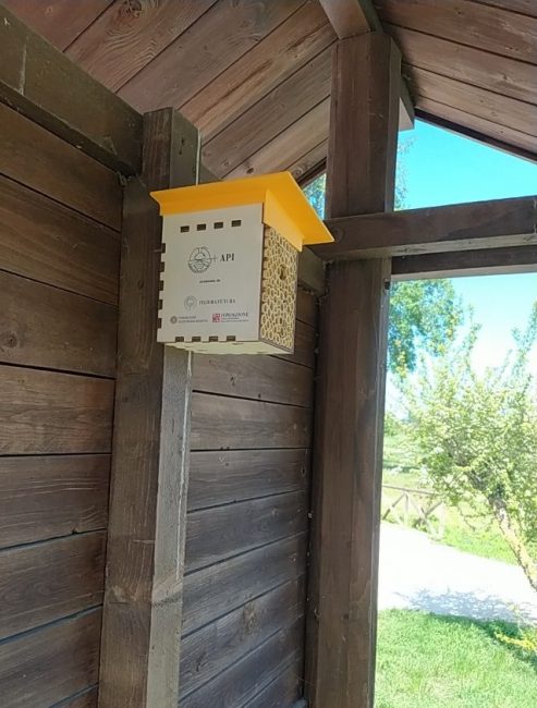casette-api-selvatiche