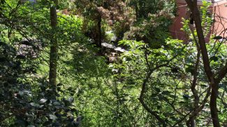 giardini-isonzo-vista-dalle-mura-sui-giardini