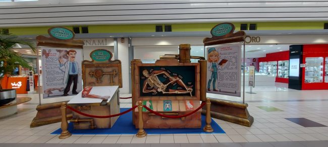 mostra-corpo-umano-centro-commerciale-val-di-chienti-3-650x293
