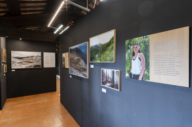 mostra_vasentiero_8-650x433