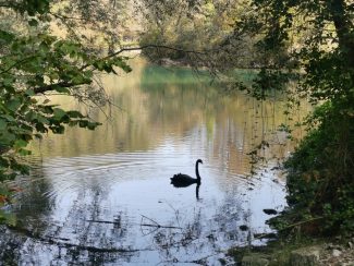 particolare-del-lago-di-Boccafornace