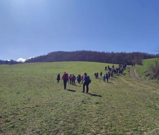 passeggiate_02-325x276