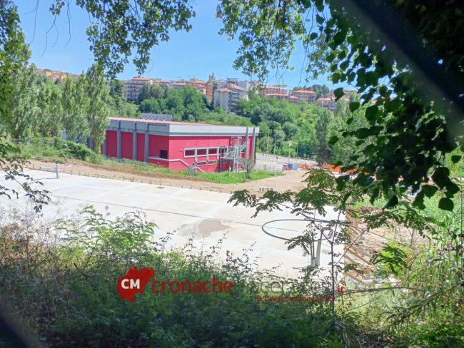 Serra_Fontescodella_FF-1-650x488
