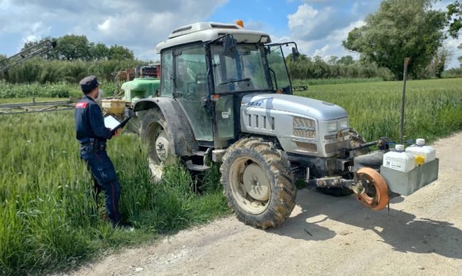 carabinieri-forestali-2-650x389