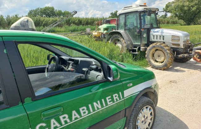carabinieri-forestali-3-650x417