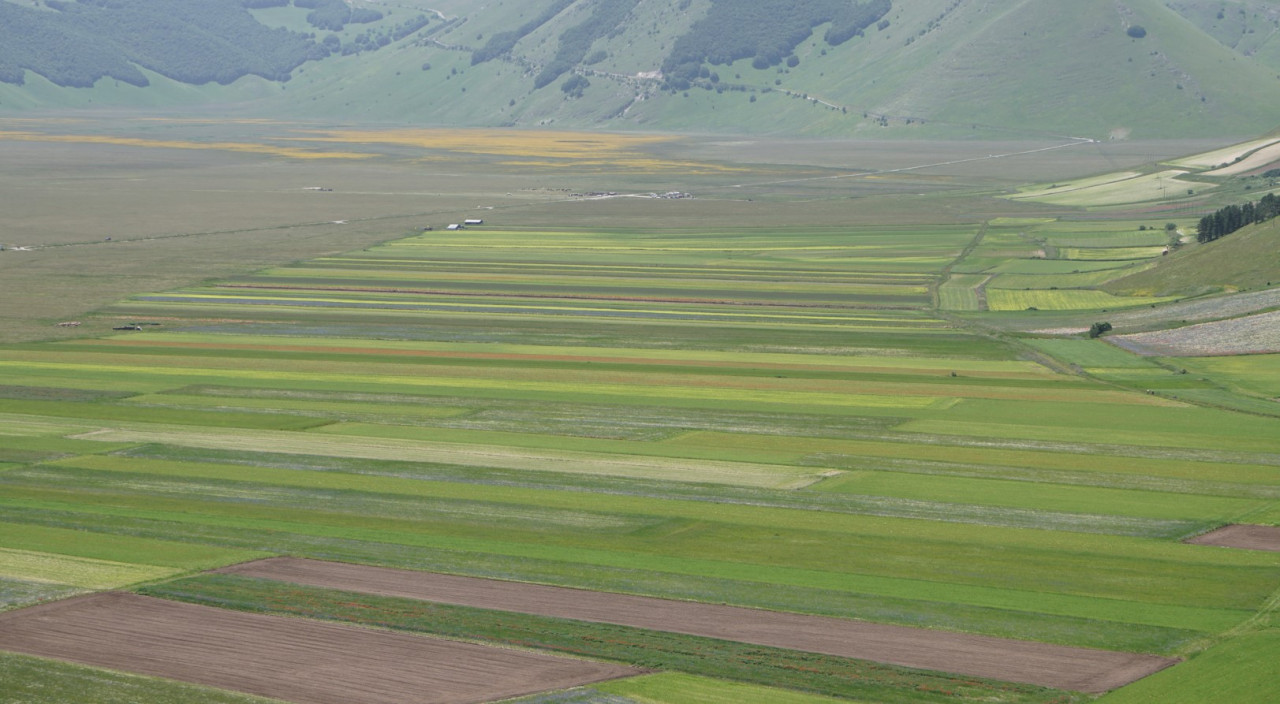 castelluccio