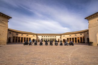 harleisti-a-senigallia