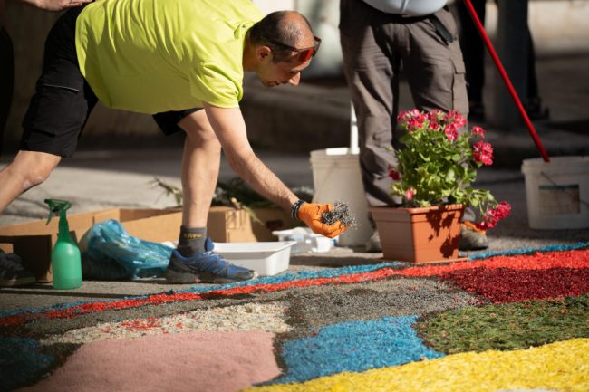 infiorata-6-650x433