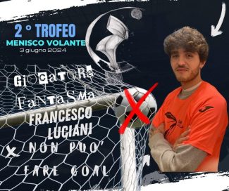 menisco_volante
