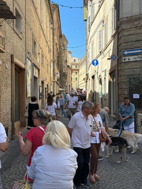 mercatini_forte_marmi-7-488x650