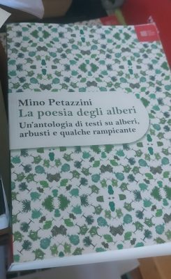 mino_petazzini-e1718705026537-245x400