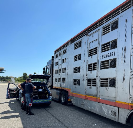 ovini-polizia-stradale