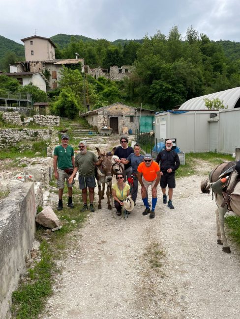 tolentino_norcia_asini-6-488x650