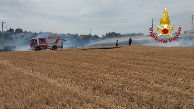 incendio-campo-vigili-del-fuoco