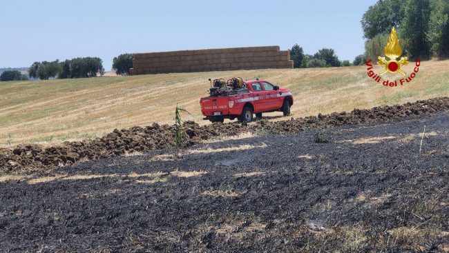 incendio-morrovalle-1-650x367