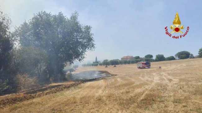 incendio-morrovalle-2-650x365